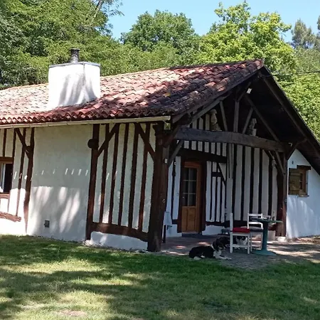 度假居 Maison Landaise Typique Sur Grand Airial Lencouacq