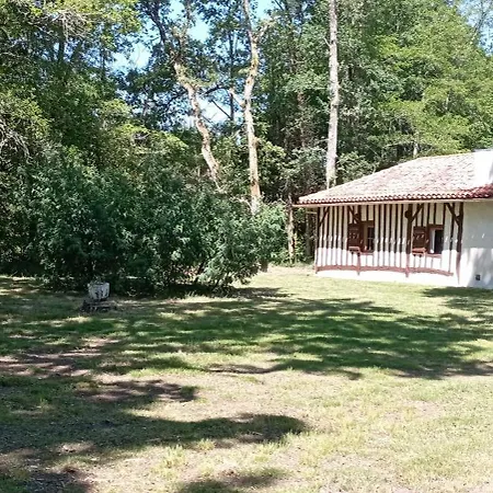 度假居 Maison Landaise Typique Sur Grand Airial