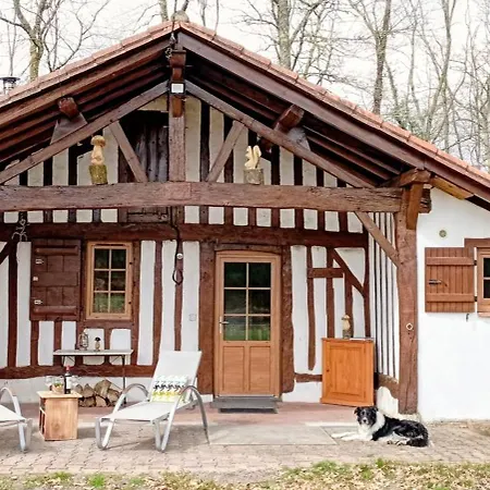 Maison Landaise Typique Sur Grand Airial 度假居 Lencouacq