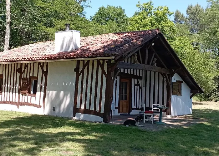 度假居 Maison Landaise Typique Sur Grand Airial Lencouacq
