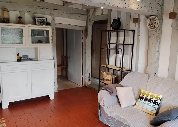Maison Landaise Typique Sur Grand Airial *