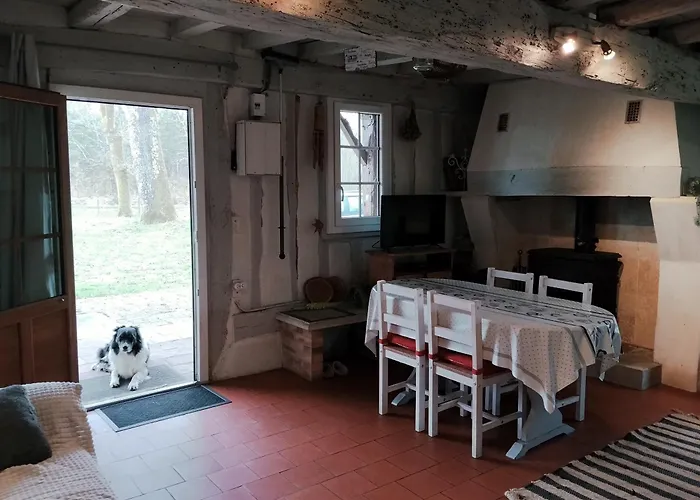 Maison Landaise Typique Sur Grand Airial